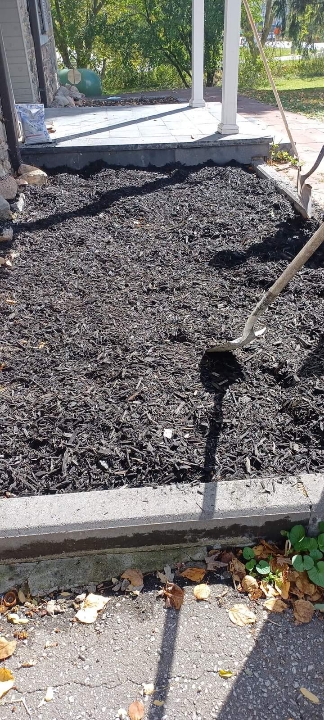 Fresh black mulch spread in a front garden bed