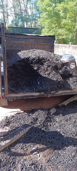 Black mulch loaded in a dump trailer
