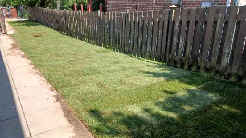 Newly installed lawn sod beside a walkway